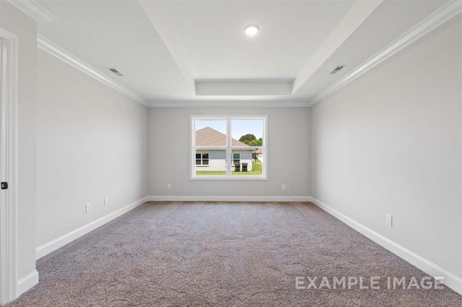 Empty room with a raised ceiling, carpet flooring, and ornamental molding