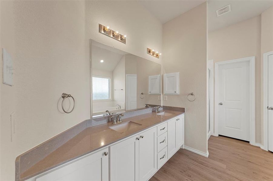 Bathroom featuring lofted ceiling, vanity, and hardwood / wood-style floors