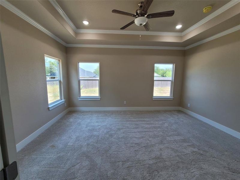 Carpeted empty room with ceiling fan, a raised ceiling, crown molding, and a healthy amount of sunlight