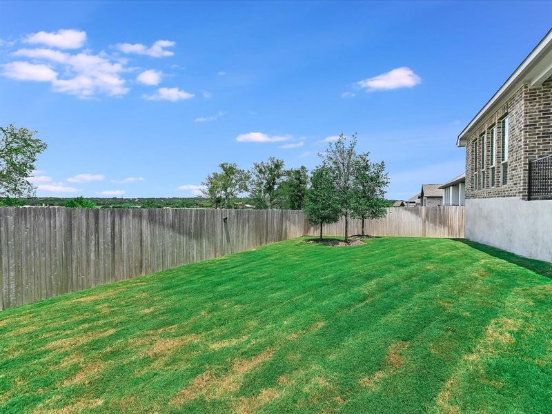 Wonderful back yard with plenty of space for a playscape, gardening or to play fetch.