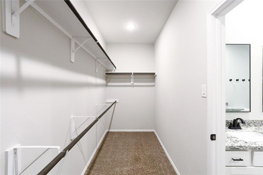 Walk in Closet in Master