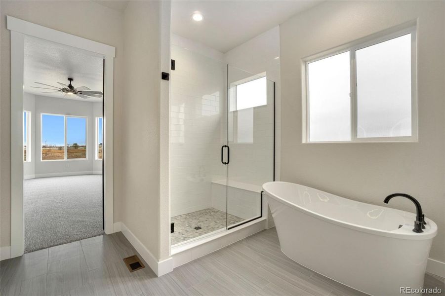 Shower and Freestanding Tub
