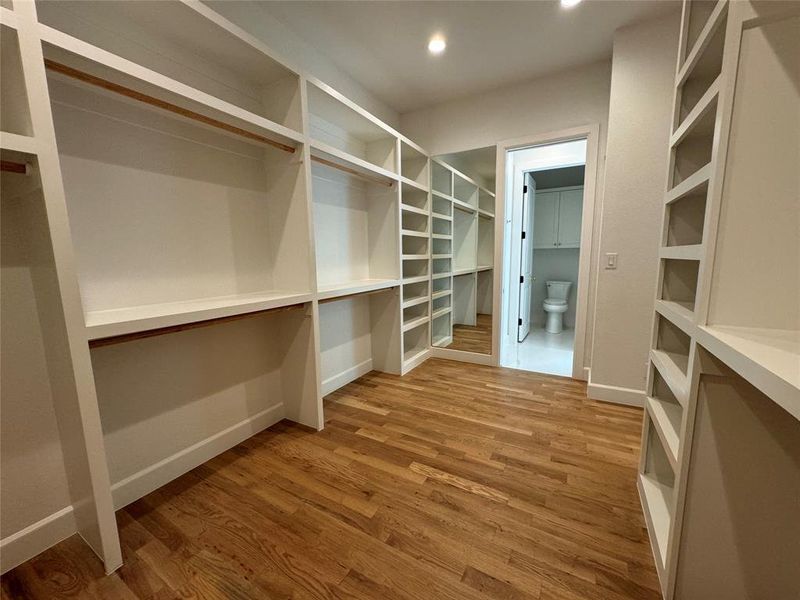 Walk in closet with light hardwood / wood-style flooring