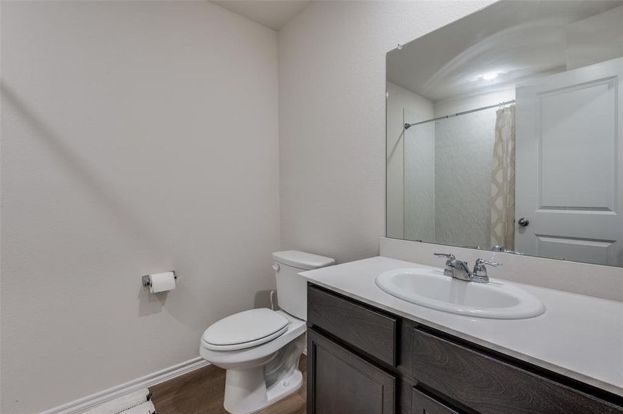 Bathroom with vanity, toilet, wood-type flooring, and a shower with shower curtain