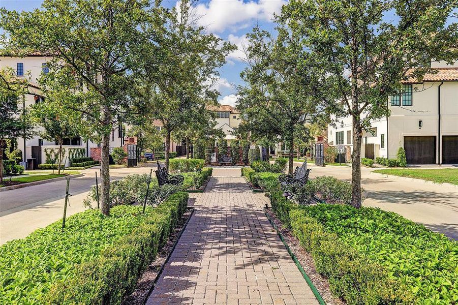 Tree lined boulevard