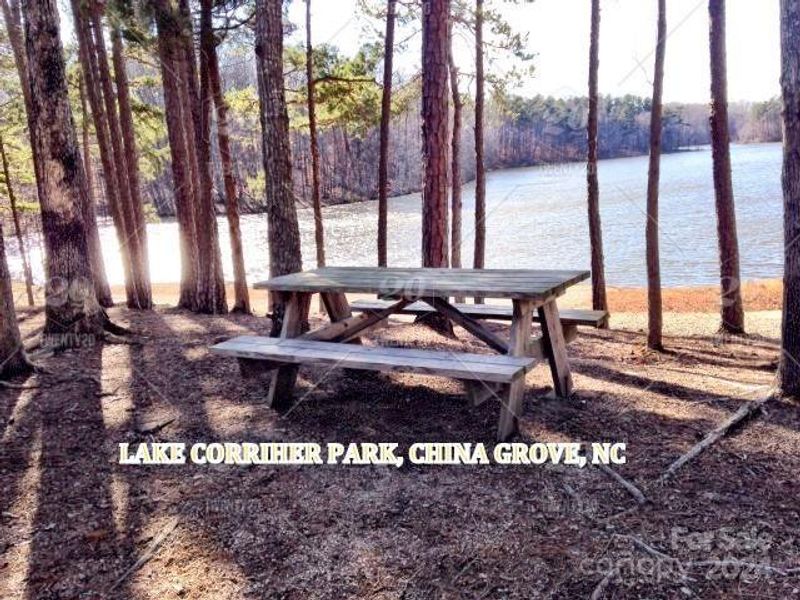 Walk down the street to Lake Corriher Wilderness Park with walking trails, fishing, paddle boating.