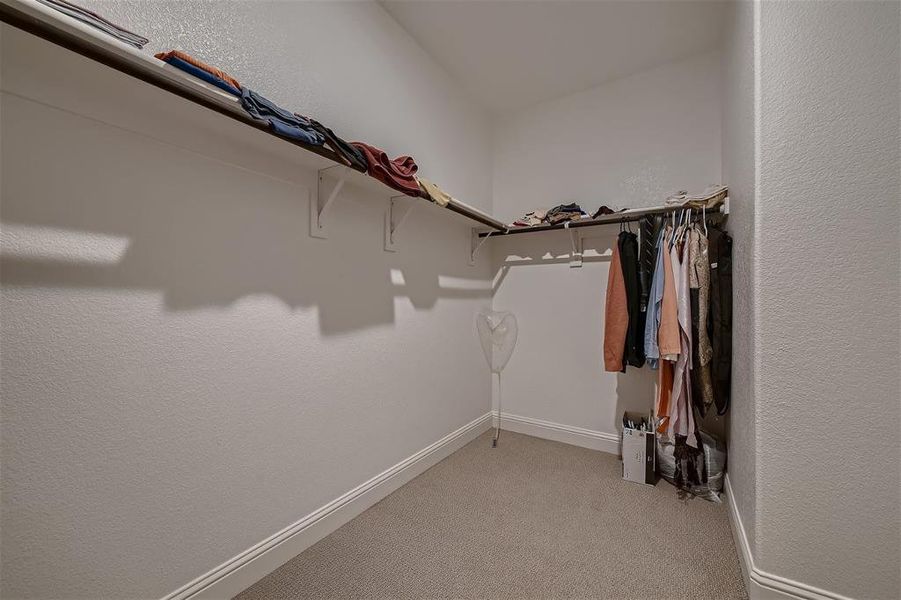 Walk in closet featuring carpet floors