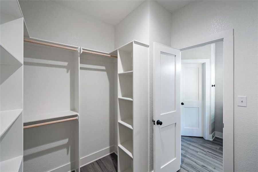 Primary Spacious closet featuring hardwood / wood-style flooring