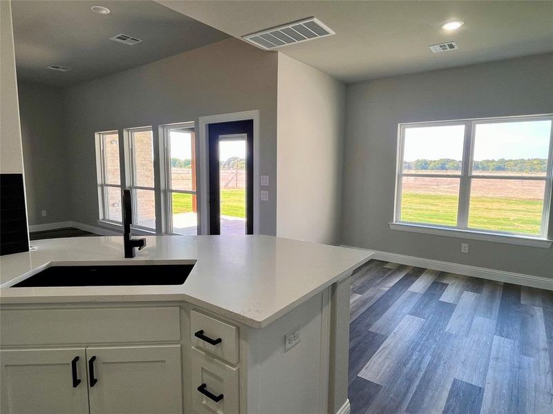 Kitchen featuring white cabinetry, dark hardwood / wood-style flooring, and a healthy amount of sunlight