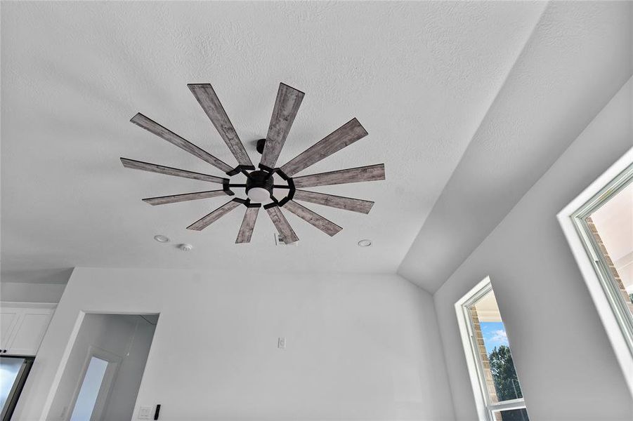 Nice fan in the family room