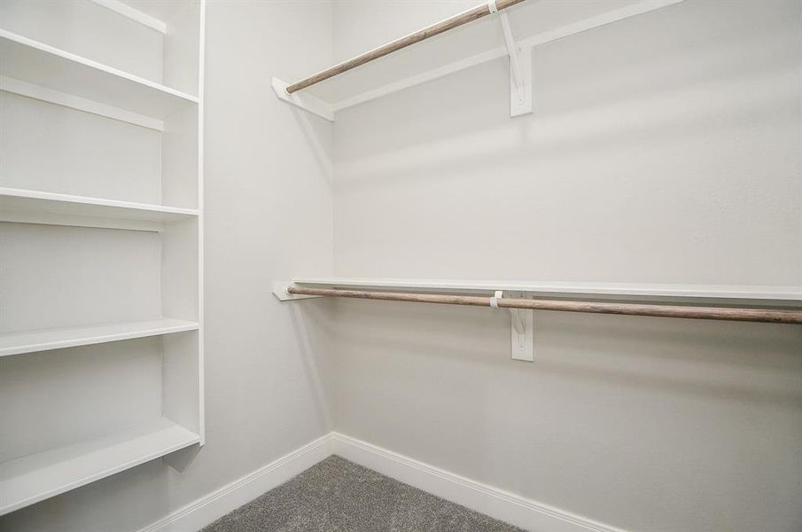 This is a neat,  Primary walk-in closet featuring built-in white shelves on one side and a clothes rod on the opposite side, with carpeted flooring.