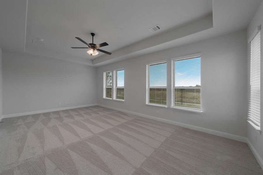 Carpeted spare room with a healthy amount of sunlight, ceiling fan, and a raised ceiling