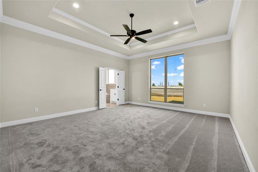 Carpeted empty room featuring ornamental molding, ceiling fan, and a raised ceiling