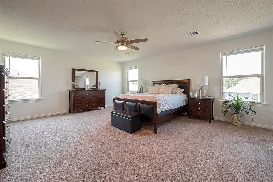 Expansive primary bedroom