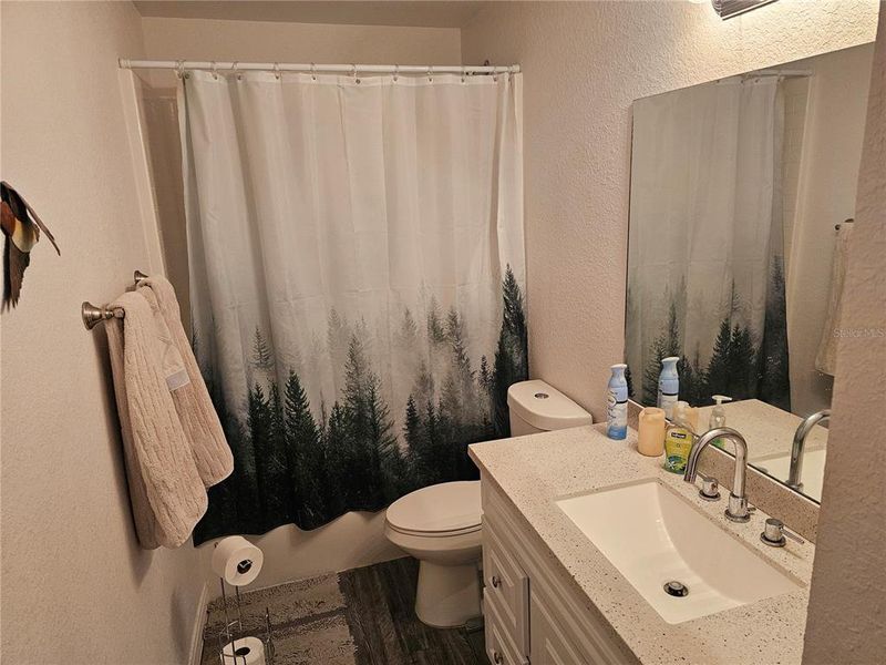 Guest bathroom with shower and tub