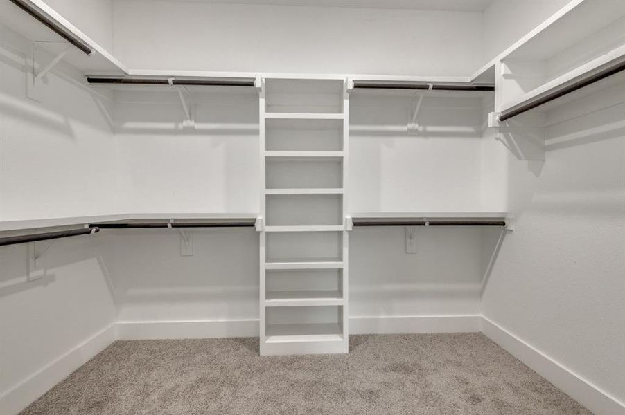 Spacious closet featuring carpet