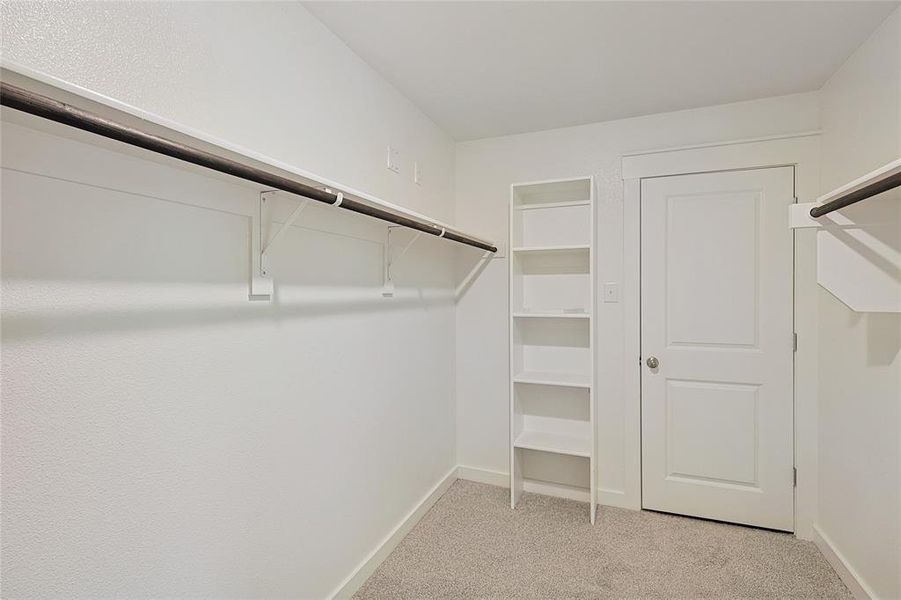 Spacious closet featuring light carpet