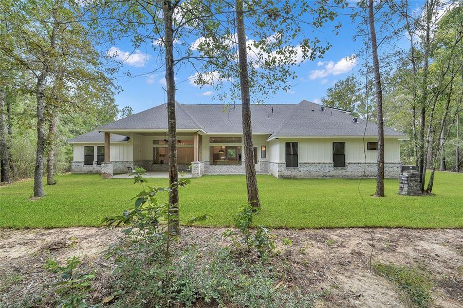 wooded backyard