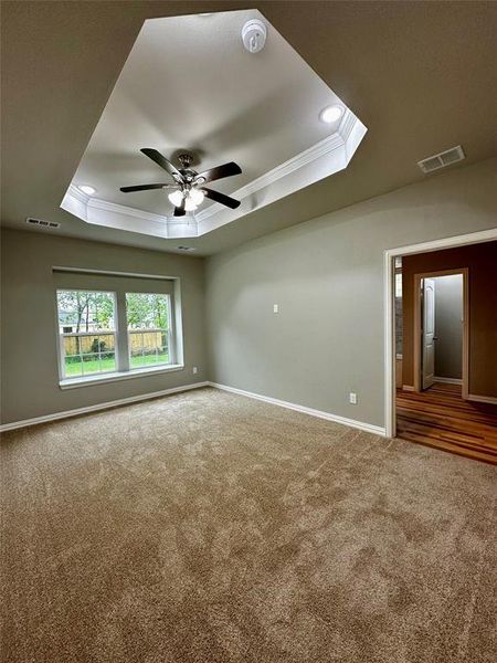 Carpeted spare room with ceiling fan, a raised ceiling, and ornamental molding