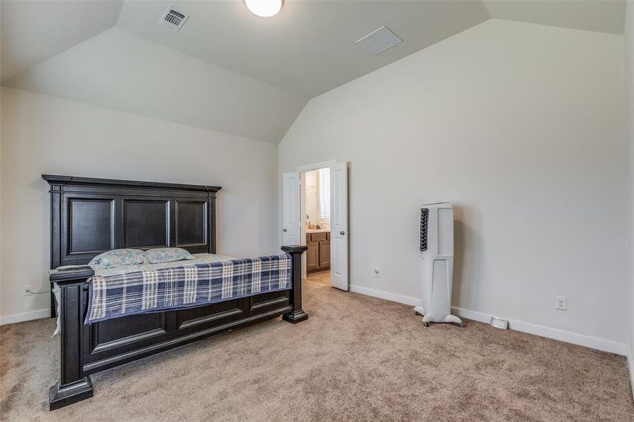 Carpeted bedroom with lofted ceiling and ensuite bathroom