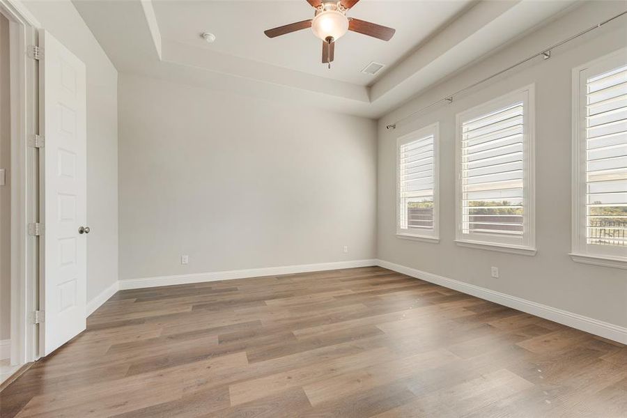 Primary bedroom with a tray ceiling, hardwood / wood-style floors, ceiling fan, and a wealth of natural light