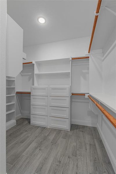 Walk in closet featuring light hardwood / wood-style flooring