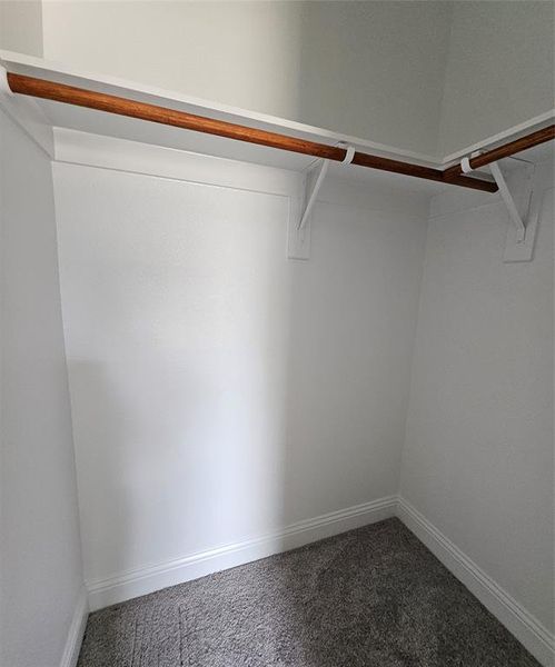 Spacious closet with carpet