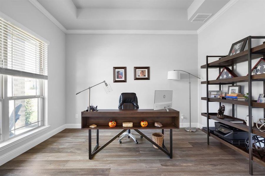 Home office featuring crown molding, a tray ceiling, and wood-style floors