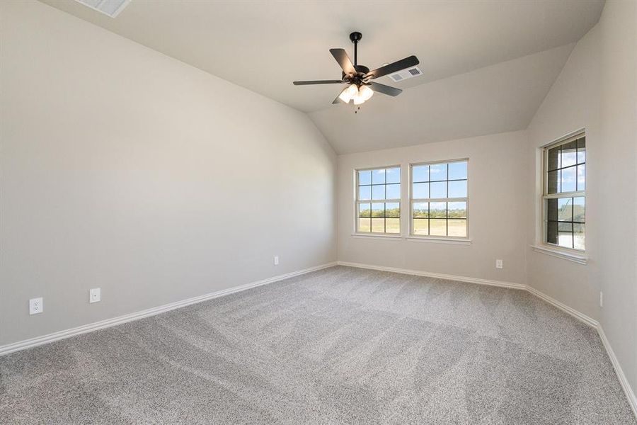 Unfurnished room with lofted ceiling, carpet, and ceiling fan