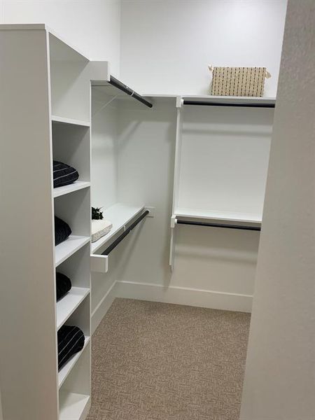 Walk in closet featuring carpet flooring