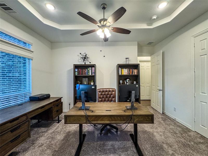 Home office featuring carpet floors, ceiling fan, and a raised ceiling