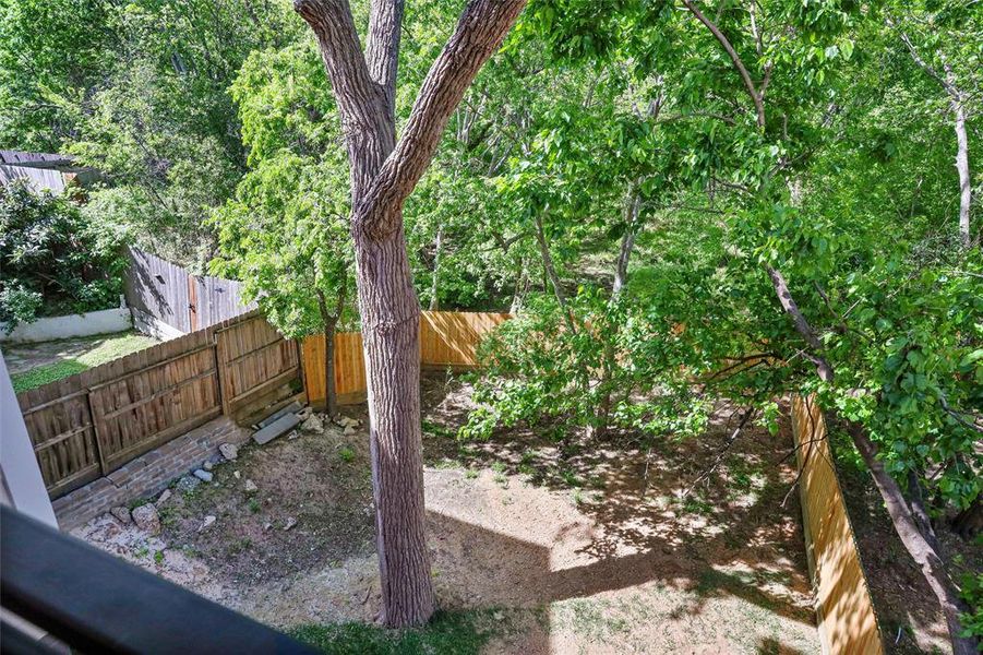 Patio overlooking the backyard.