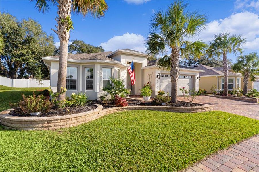 Amazing Landscaping with Palms!