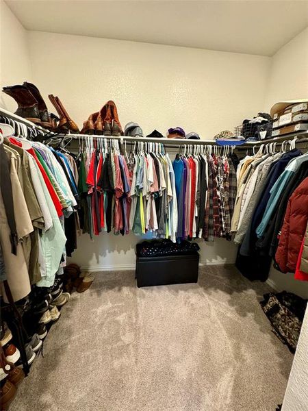 Spacious closet featuring carpet