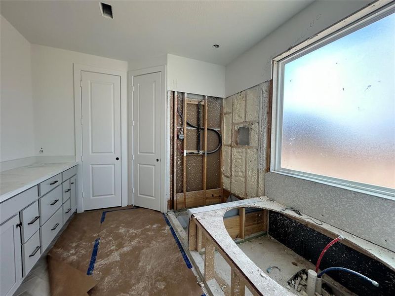 Main bath shower and drop in tub