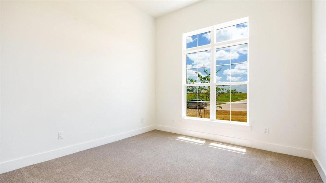 Carpeted spare room with a wealth of natural light