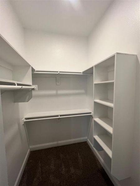 Walk in closet featuring dark colored carpet