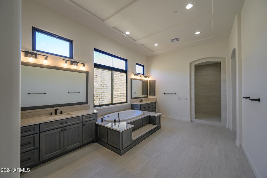 Glorious Master Bathroom