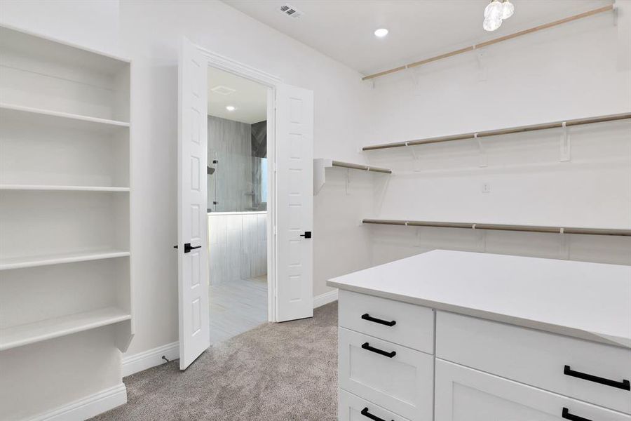 Walk in closet with light colored carpet