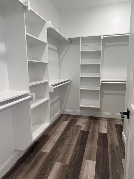 Walk in closet with dark hardwood / wood-style floors