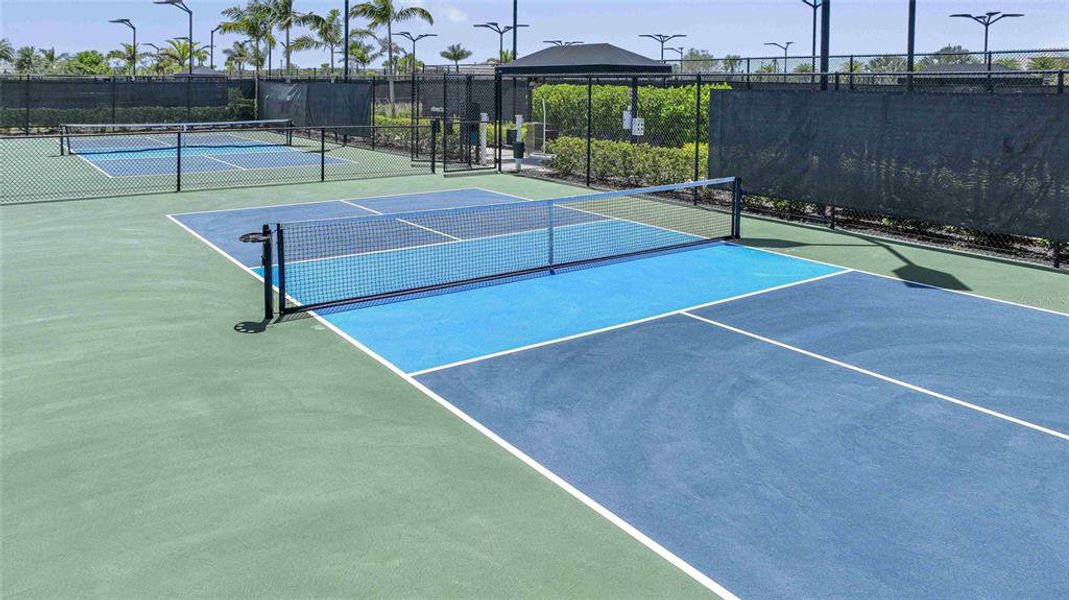 Pickleball Courts