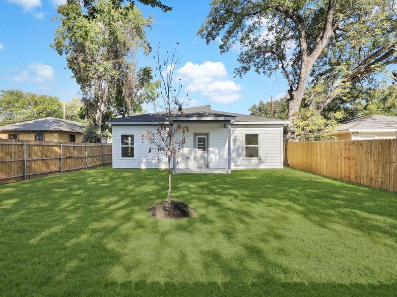 Rear view of property with a yard