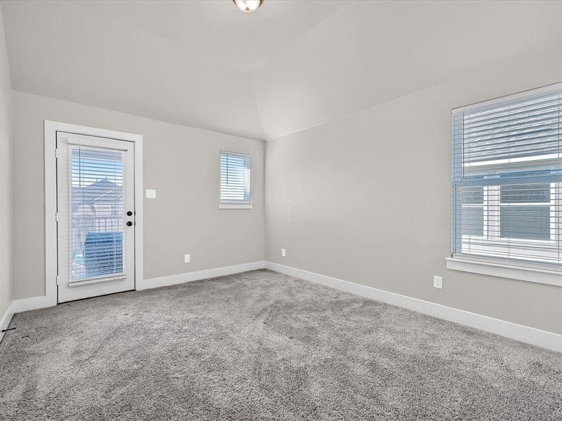 Empty room featuring lofted ceiling, a healthy amount of sunlight, and carpet