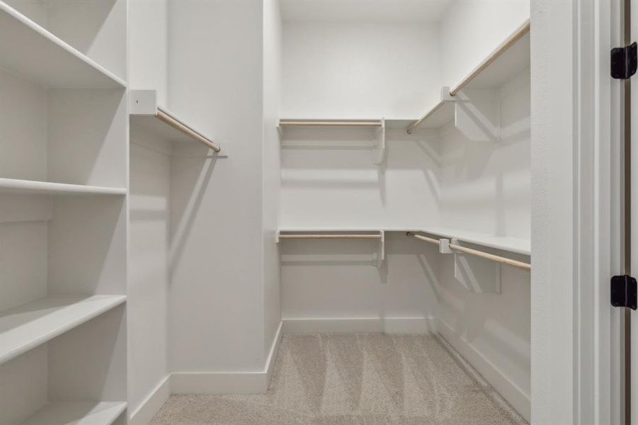 Spacious closet with carpet