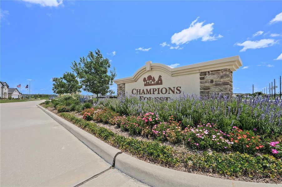 Champions Forest is a unique new home community, nestled in the historic city of Mont Belvieu featuring oversized 60', 75' and 90' homesites. The home styles offered in Champions Forest will range from traditional to modern exteriors with up to 4-car garages. Champions Forest is just minutes away from I-10 placing you near a variety of local shopping, dining, entertainment and recreational choices to enjoy close-by. Quick commutes to Baytown, Dayton and Grand Parkway are just within minutes as well.