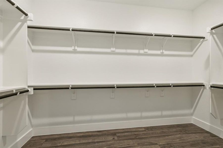 Walk in closet featuring dark wood-type flooring