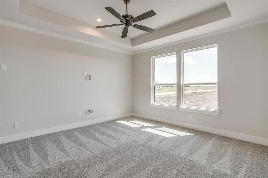 Spare room featuring plenty of natural light, crown molding, and a tray ceiling