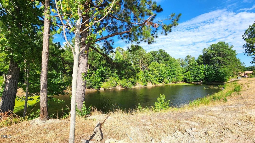 Community Pond