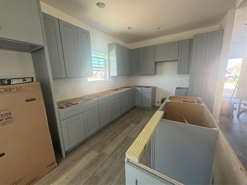 Kitchen featuring gray cabinets and wood-type flooring