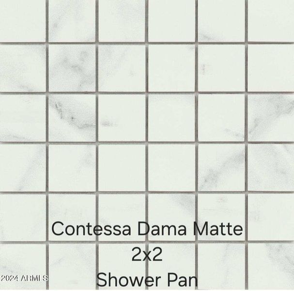 Contessa Dama Matte Shower Pan